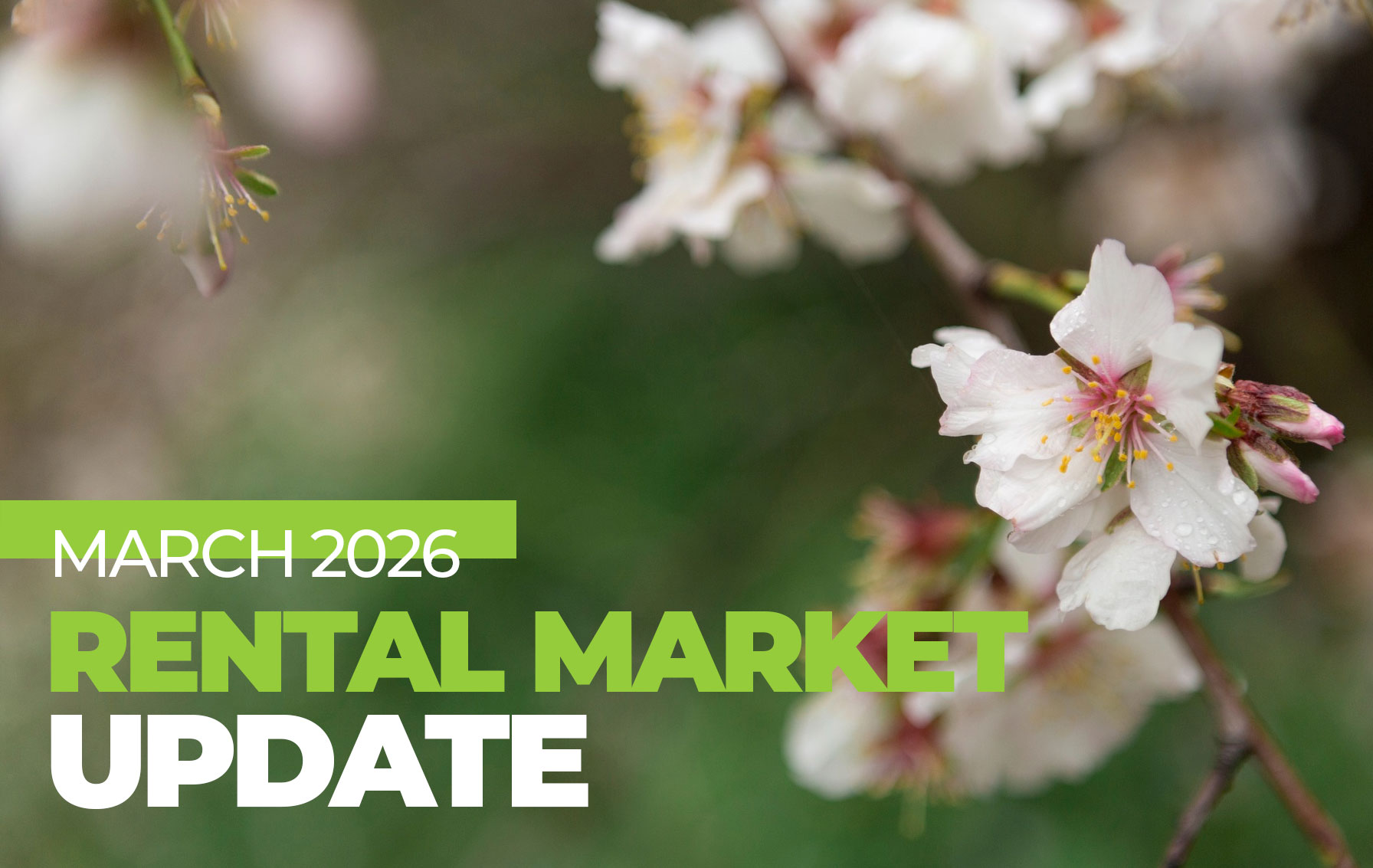 Denver Rental Market Update: March 2026